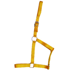 Halter