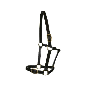 Halter